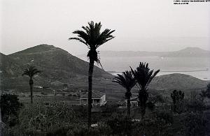 TUNISIE 1939  66 EME  REGIMENT D ARTILLERIE (35)